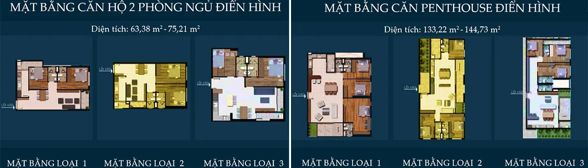 Mặt bằng các mẫu căn hộ Phú Đông Premier