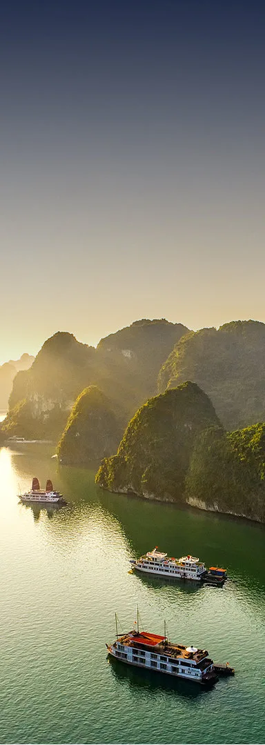 Lv Dichvu PhuDongHomes